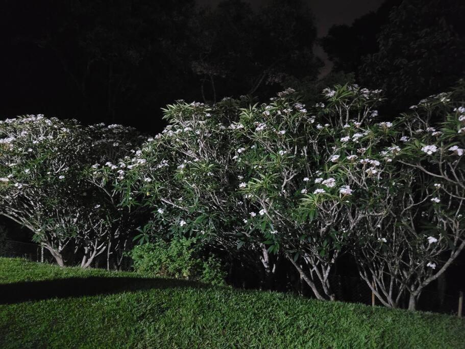 Villa Chacara Dos Sonhos Em Mairiporã Exterior foto